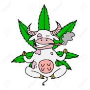baquita55's Stream profile image