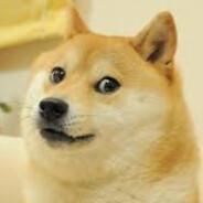 doge's Stream profile image