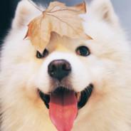 坎沃德·达吉尔's Stream profile image