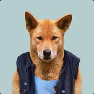 Dingo's - Steam avatar