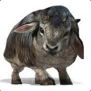 Dolyi's Stream profile image