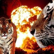 Dark Tiger's Stream profile image