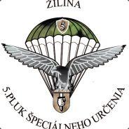 SVK|Critical875's Stream profile image