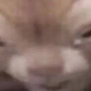 cernstorm's Stream profile image