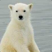 UnSp0k3n--'s Stream profile image