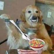 Noobmaster 68's Stream profile image