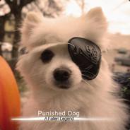 gebimelo's Stream profile image