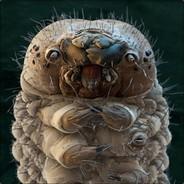 Raamvocht's - Steam avatar