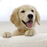 han362892's Stream profile image