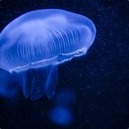 berniiiyyy's Stream profile image