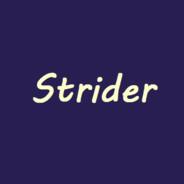 Strider's Stream profile image