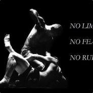 Rheuma Kai's Stream profile image