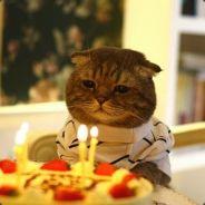 KarmoK™'s Stream profile image