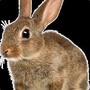 Rabbit's - Steam avatar