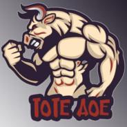 FGK | Toté's - Steam avatar