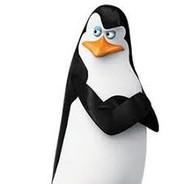 Kowalski's Stream profile image