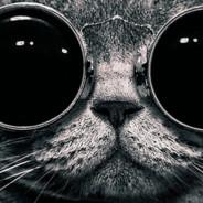 Fl4sh3R_II's - Steam avatar