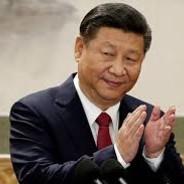 維尼與習近平's Stream profile image