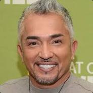 Cesar Millan's Stream profile image