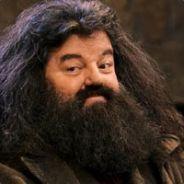 Hagrid's Stream profile image