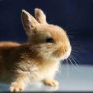 horst_osterhase's Stream profile image