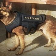 Dogmeat Tactical's Stream profile image