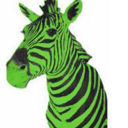 Zebra's - Steam avatar