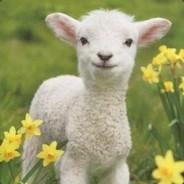 SHEEPboy's Stream profile image