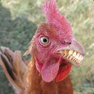 Mané Galinha's Stream profile image