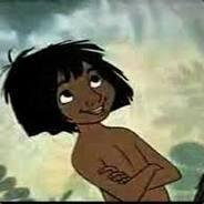 Mowgli's Stream profile image