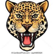 Jaguar's Stream profile image