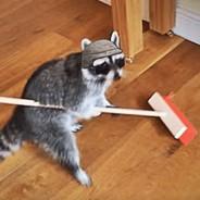 Koben's Stream profile image