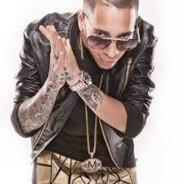 Don Omar's Stream profile image