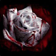 G0pher's - Steam avatar