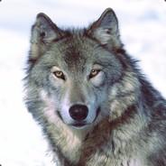PaazProfeta's Stream profile image