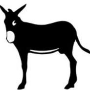 Kulan's - Steam avatar