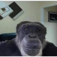 monke's Stream profile image