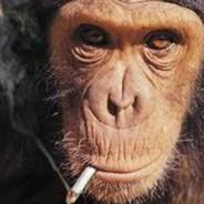 Khas's Stream profile image