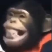 SpaceChimp's Stream profile image