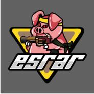 Hasgakoo's Stream profile image
