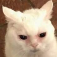 blonded's Stream profile image
