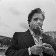 Samo's Stream profile image