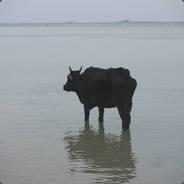 V.'s - Steam avatar
