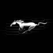 10centurio10's Stream profile image