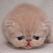 quang.hoangminh's Stream profile image