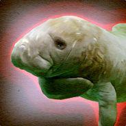 GooseOCE's Stream profile image
