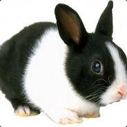 RavenousRabbit's Stream profile image