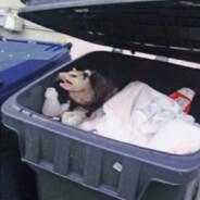 neuzil's Stream profile image
