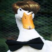 Duck Pereira's Stream profile image