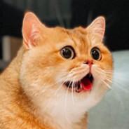 Аслан's Stream profile image